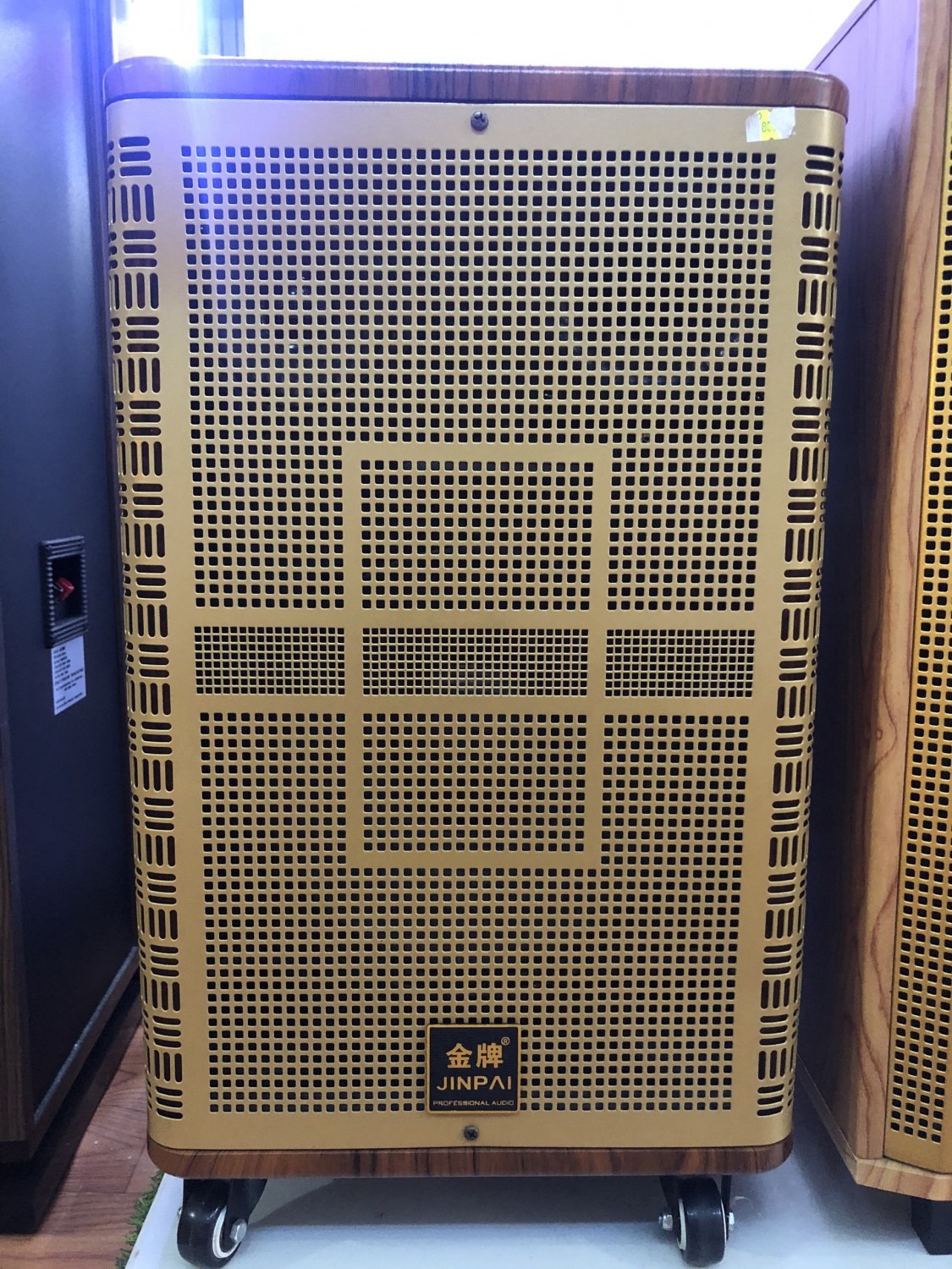 LOA KAKAOKE JINPAI T10