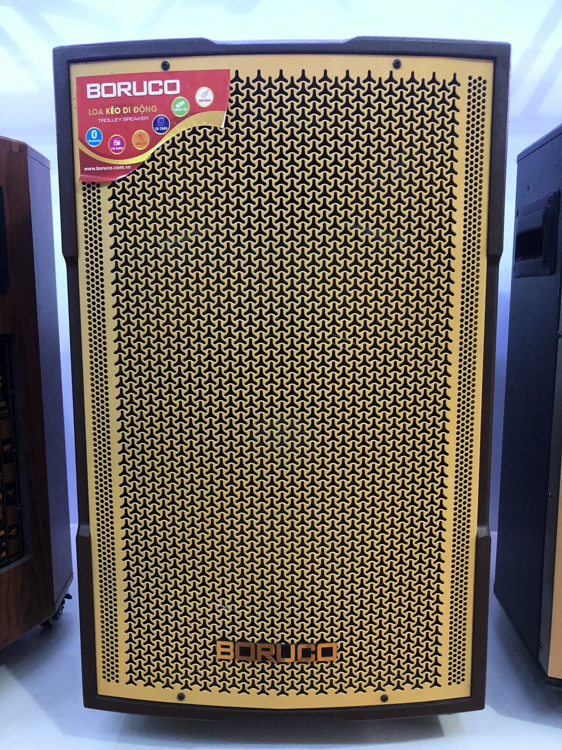 LOA KARAOKE BORUCO BR 450K